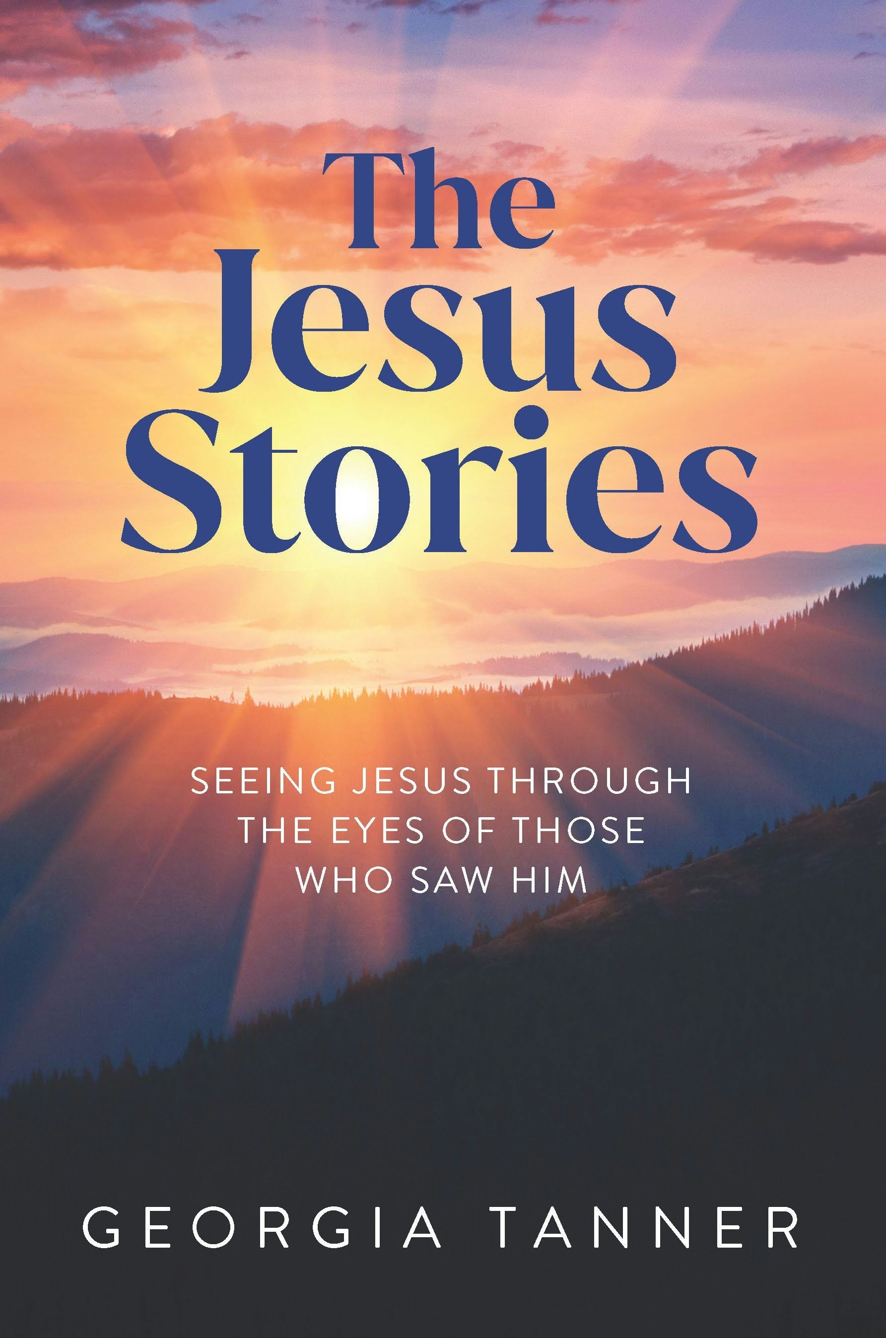 Book cover image for The Jesus Stories ISBN: 9781956370768